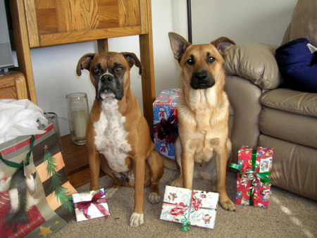 f:id:mamimami_LA:20051128024753j:image f:id:mamimami_LA:20051128024753j:image