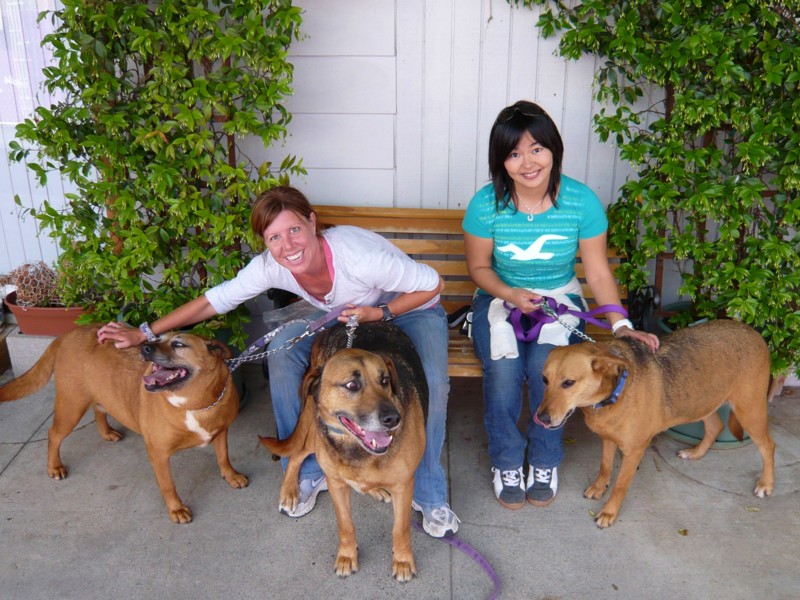 f:id:mamimami_LA:20070412070809j:image f:id:mamimami_LA:20070412070809j:image