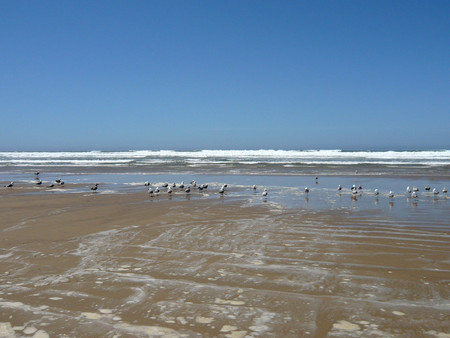 f:id:mamimami_LA:20070424045753j:image