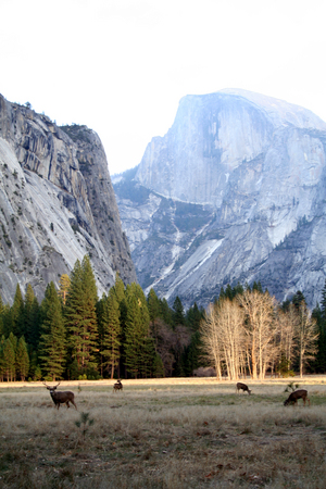 f:id:mamimami_LA:20071201153939j:image