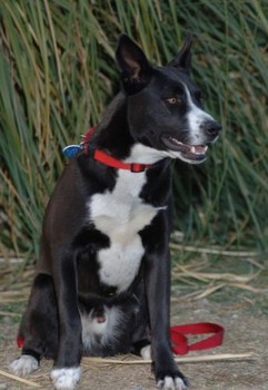 f:id:mamimami_LA:20080328013608j:image