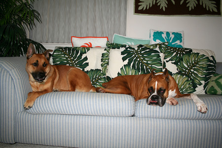 f:id:mamimami_LA:20080531095909j:image f:id:mamimami_LA:20080531095909j:image