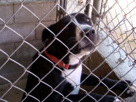 f:id:mamimami_LA:20080531101828j:image