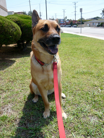 f:id:mamimami_LA:20080804120202j:image