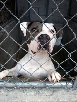 f:id:mamimami_LA:20080804120824j:image