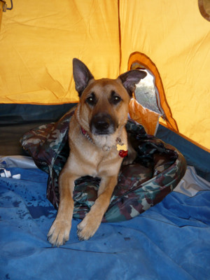 f:id:mamimami_LA:20080831131612j:image f:id:mamimami_LA:20080831131612j:image