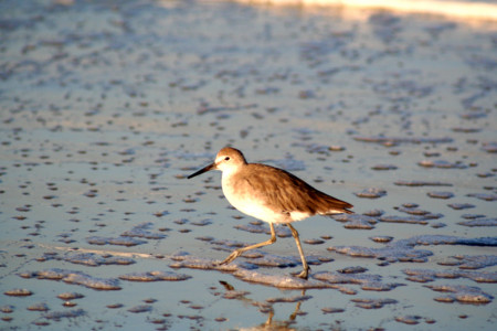 f:id:mamimami_LA:20080920064908j:image