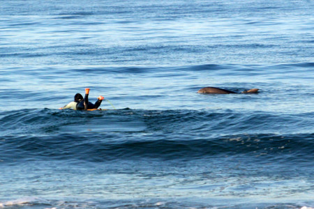 f:id:mamimami_LA:20080925065219j:image