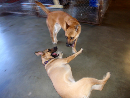 f:id:mamimami_LA:20081001163024j:image