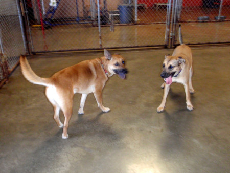 f:id:mamimami_LA:20081001163912j:image