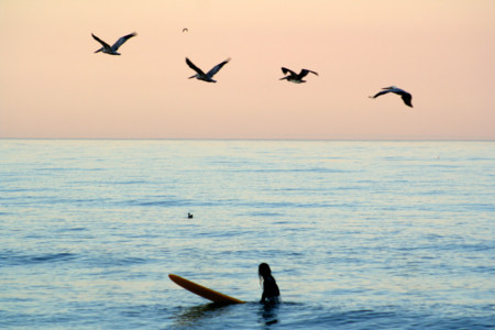 f:id:mamimami_LA:20081014062258j:image