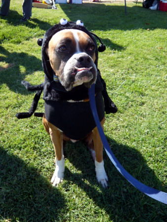 f:id:mamimami_LA:20081019124414j:image f:id:mamimami_LA:20081019124414j:image