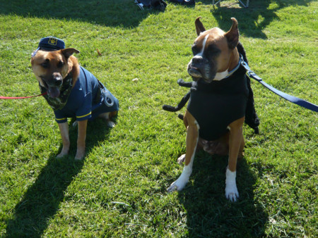 f:id:mamimami_LA:20081019124723j:image f:id:mamimami_LA:20081019124723j:image