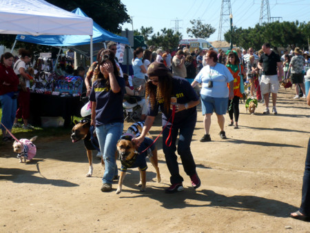 f:id:mamimami_LA:20081019130528j:image f:id:mamimami_LA:20081019130528j:image