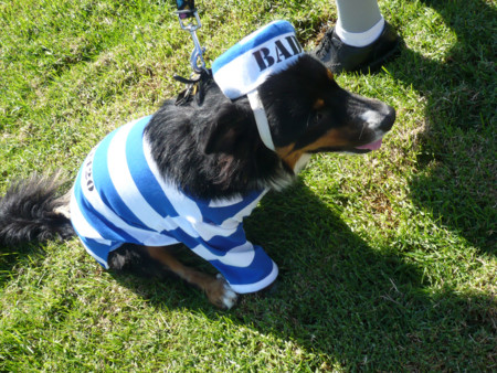 f:id:mamimami_LA:20081019131114j:image f:id:mamimami_LA:20081019131114j:image