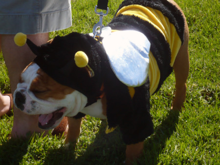 f:id:mamimami_LA:20081019131148j:image f:id:mamimami_LA:20081019131148j:image