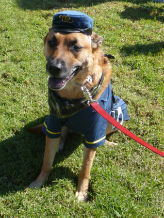 f:id:mamimami_LA:20081019131358j:image f:id:mamimami_LA:20081019131358j:image