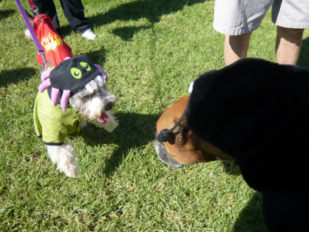 f:id:mamimami_LA:20081019131425j:image f:id:mamimami_LA:20081019131425j:image