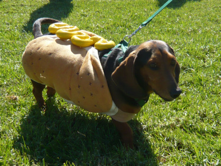 f:id:mamimami_LA:20081019132855j:image f:id:mamimami_LA:20081019132855j:image