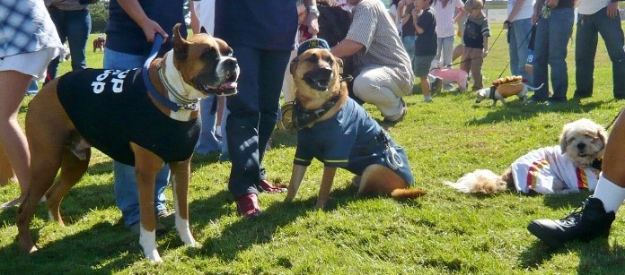 f:id:mamimami_LA:20081019133041j:image f:id:mamimami_LA:20081019133041j:image