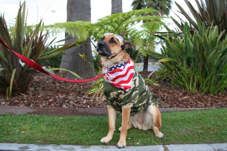 f:id:mamimami_LA:20081031071905j:image