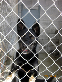 f:id:mamimami_LA:20081104050413j:image