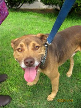 f:id:mamimami_LA:20081104051246j:image