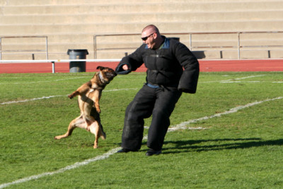 f:id:mamimami_LA:20081108144459j:image