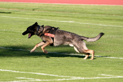 f:id:mamimami_LA:20081108145731j:image