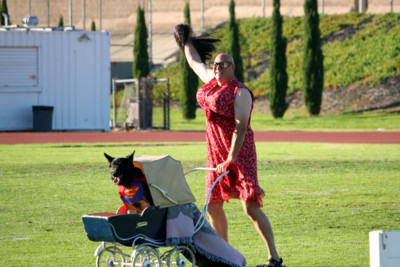 f:id:mamimami_LA:20081108152112j:image