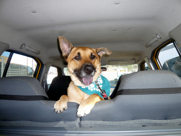 f:id:mamimami_LA:20081109151316j:image f:id:mamimami_LA:20081109151316j:image