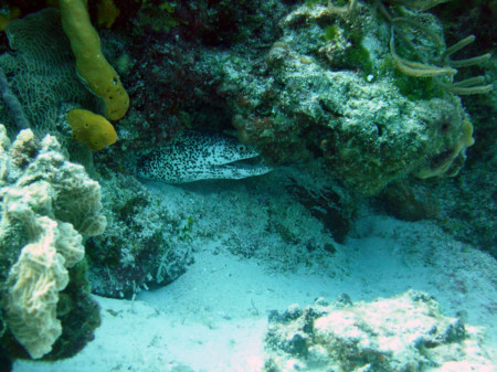 f:id:mamimami_LA:20081121113320j:image f:id:mamimami_LA:20081121113320j:image