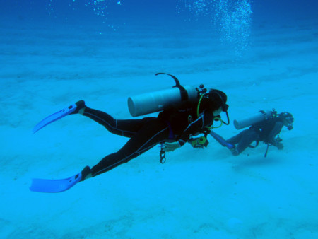 f:id:mamimami_LA:20081121123138j:image f:id:mamimami_LA:20081121123138j:image