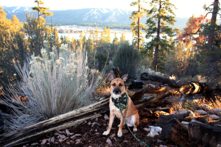 f:id:mamimami_LA:20081128151728j:image