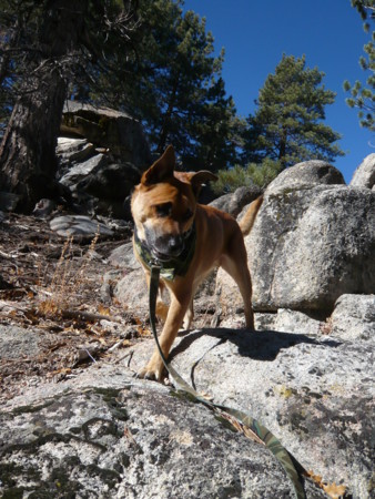 f:id:mamimami_LA:20081129112142j:image