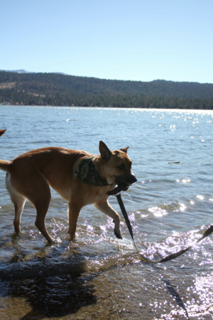 f:id:mamimami_LA:20081129120626j:image