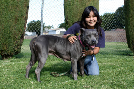 f:id:mamimami_LA:20081206111254j:image