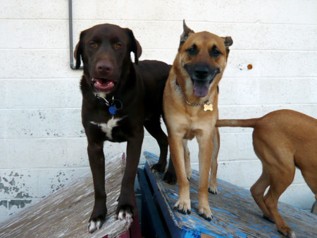 f:id:mamimami_LA:20081212164529j:image f:id:mamimami_LA:20081212164529j:image