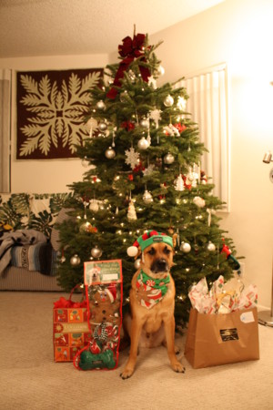 f:id:mamimami_LA:20081223164349j:image