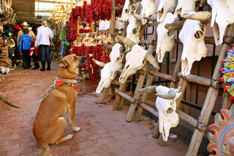 f:id:mamimami_LA:20081229211614j:image