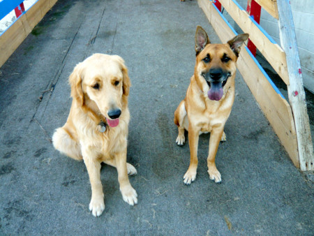 f:id:mamimami_LA:20090115162732j:image f:id:mamimami_LA:20090115162732j:image