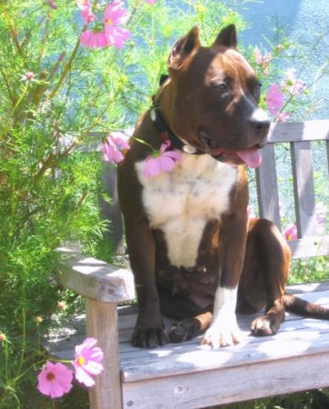 f:id:mamimami_LA:20090121153011j:image