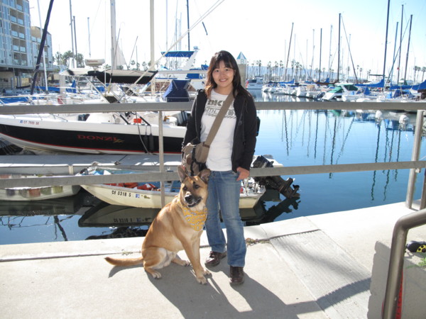 f:id:mamimami_LA:20090130094634j:image f:id:mamimami_LA:20090130094634j:image