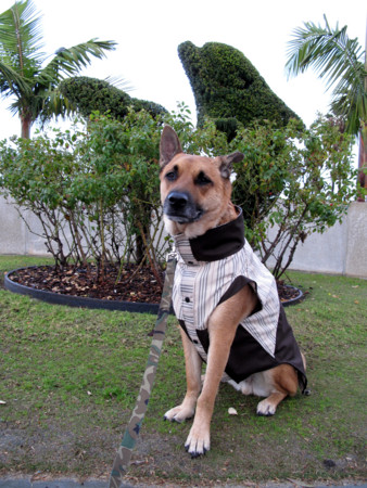 f:id:mamimami_LA:20090205165830j:image f:id:mamimami_LA:20090205165830j:image