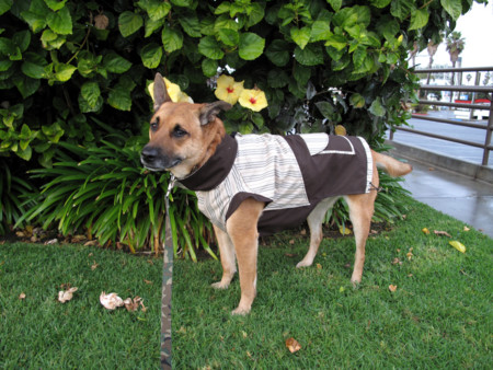 f:id:mamimami_LA:20090205170411j:image f:id:mamimami_LA:20090205170411j:image