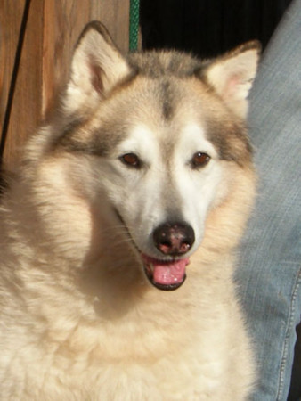 f:id:mamimami_LA:20090210105718j:image