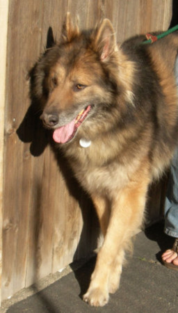 f:id:mamimami_LA:20090210105719j:image f:id:mamimami_LA:20090210105719j:image