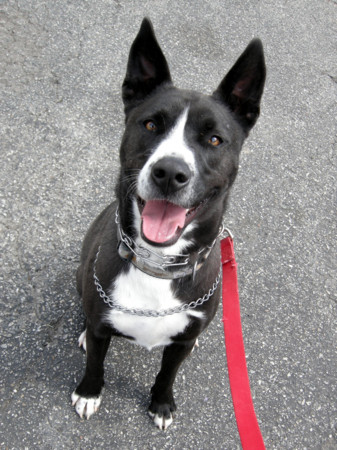 f:id:mamimami_LA:20090309115356j:image