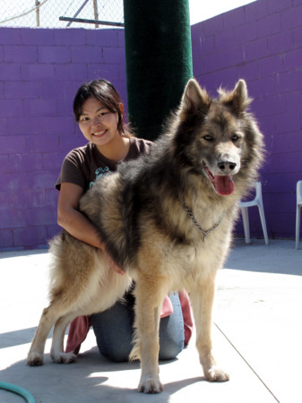 f:id:mamimami_LA:20090316111927j:image