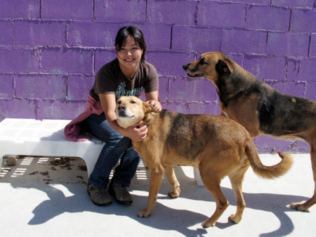 f:id:mamimami_LA:20090316122831j:image